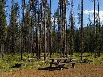 BONANZA CCC GROUP CAMPGROUND