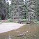 Flat beach next to clear creek in conifer forest.