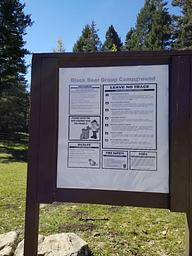 Black Bear Group Area