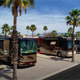 Row of motorhomes on paved RV pads with palm trees — clear depiction of RV sites and typical accommodations at the resort.