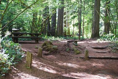 Moss Creek Campsite