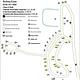 Richey Cove Map