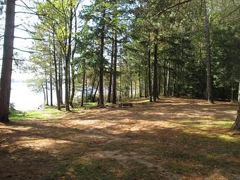 Chicago Lake Campsite