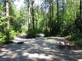 Picnic table and fire ring in the shade of trees.