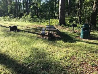 Campsite #1