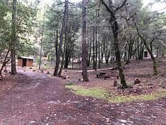 Hayden Flat Campground Group Sites