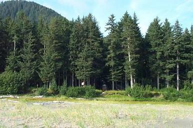 Hook Point Cabin