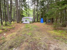 Sherwood Forest Campsite & Cabins