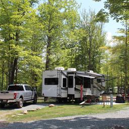 Honesdale/Pocono KOA