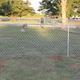 Dog Run Picture