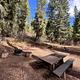 Campsite with fire ring and picnic table.