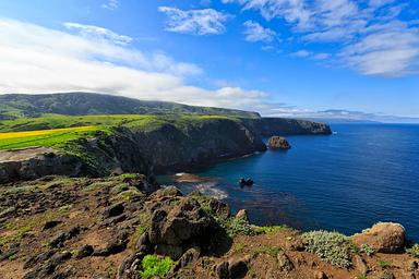 Coastal bluff overlooking rugged, steep cliffs with ocean below. 