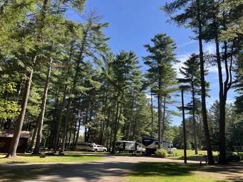 A campground with tall pine trees, RV trailers, and parked vehicles under a clear blue sky with a few wispy clouds.