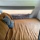 2023 R Pod RP-171 RV rental photo 6