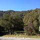 ARROYO SECO