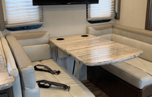 2019 Thor Motor Coach ACE 30.2