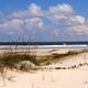 undeveloped beach complete with sea oat covered dunes, light sands, blue sky, and crashing waves
