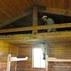 Gut Island Cabin 1 interior with someone in the loft and someone climbing up the ladder by wooden bunkbeds