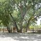 Fort Caspar Campground