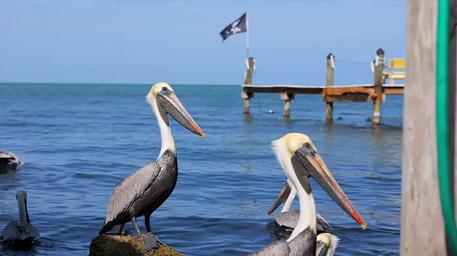Jolly Roger RV Resort