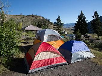 Tents pitched at the Mammoth Campground