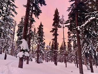 Tilly Jane Campground area