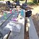 Surveyor 247BH Dog Friendly + Bunkhouse + Island