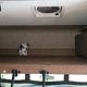 "TURN-KEY" PET-FRIENDLY & KID-APPROVED MOTORCOACH