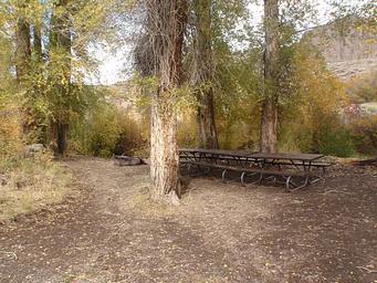 Picnic Tables at the campsite