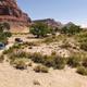 Swinging Bridge North Campground loop
