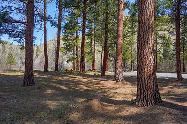 SPRING GULCH Picnic Area 