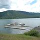 Dent Acres boat ramp and courtesy docks
