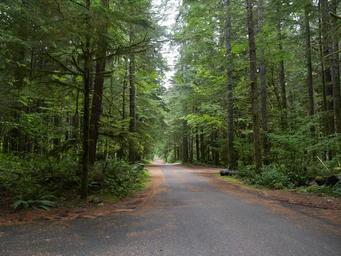North Fork Campground