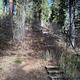 Stairs leading to small trail in campground