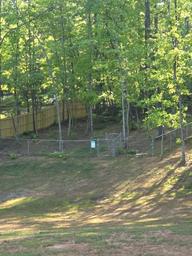 Camp Tails and Trails