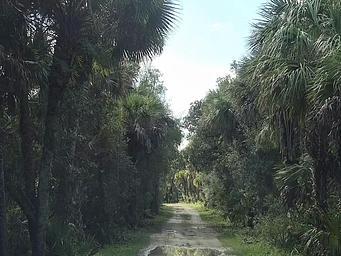 Trail to Gator Head Campground