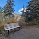 Bench along the trail