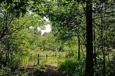 Canebrake Horse Camp