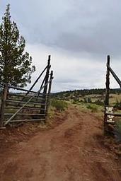 Riddle Brothers Ranch