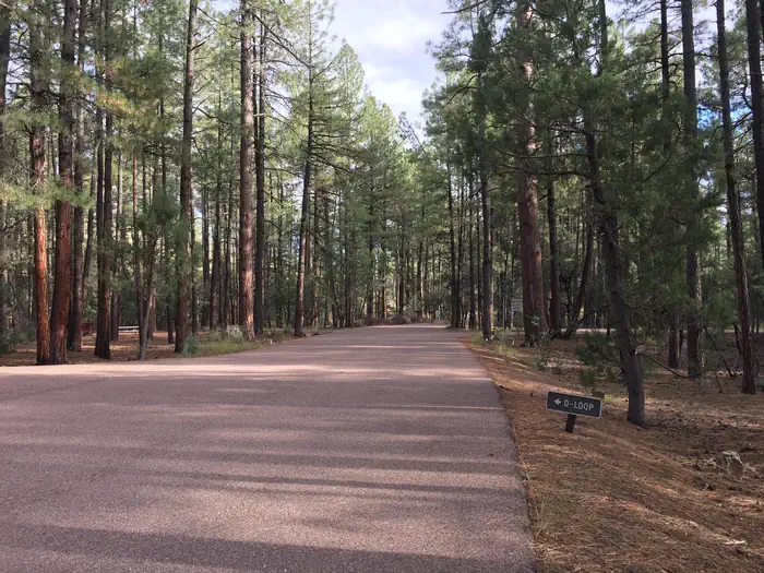 Ponderosa (AZ)