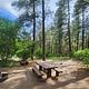 Many sites offer shade from tall pines