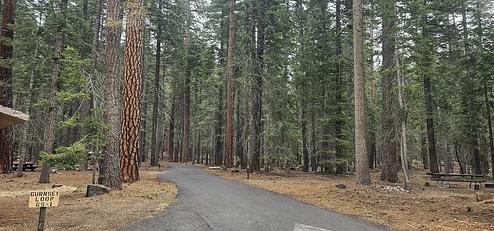 Gurnsey Creek