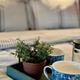 Stix & Stones RV Adventure **Couples Glamping**