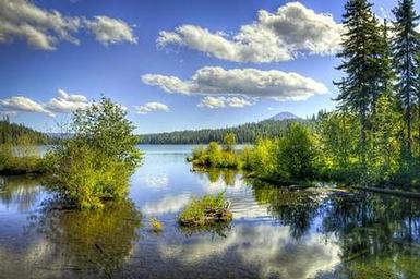 Link Creek