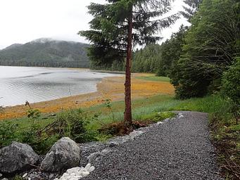 gravel trail with view of trees and ocean