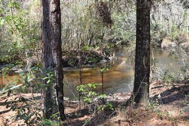 Campground image 4