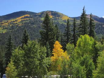 Scenic landscape view of the surrounding tree-covered hills and aspen patches used on the site background — shows the campground’s mountain scenery and tree cover.