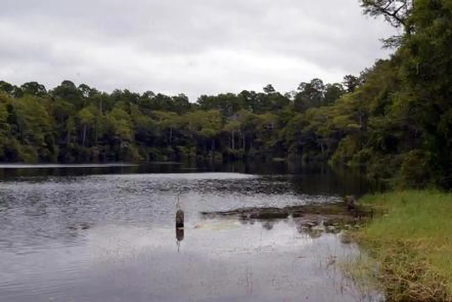 Wright Lake Campground