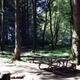 ROCK CREEK - SIUSLAW