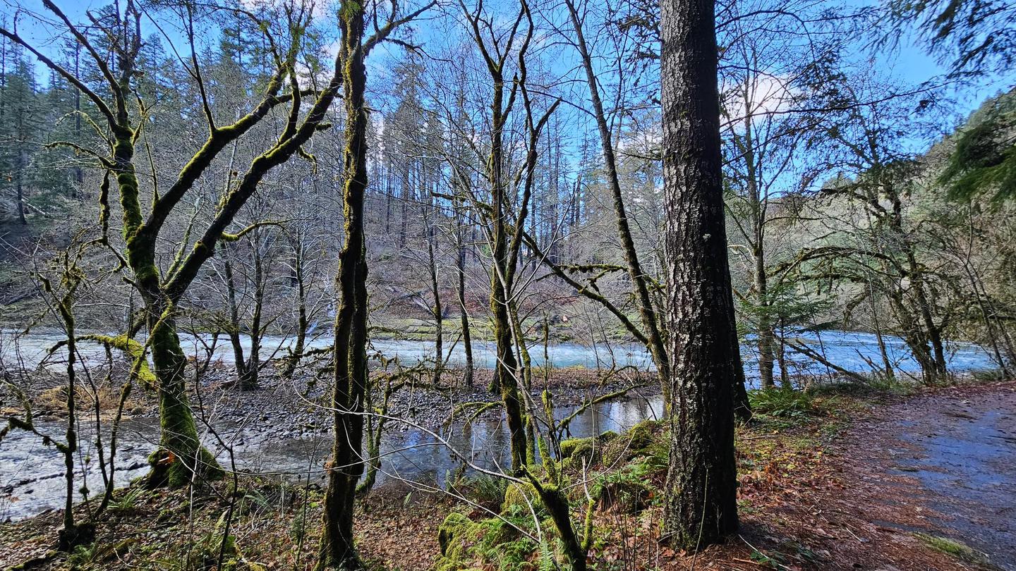 Umpqua Off-season Campgrounds